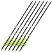 Crossbow TrueX Bolts
