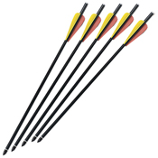 MTech USA Crossbow 9mm Bolt - 5 Pcs - Wholesale