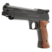 Sig Sauer Precision Super Target Wood Frame .177 Cal Pellet gun - Wholesale